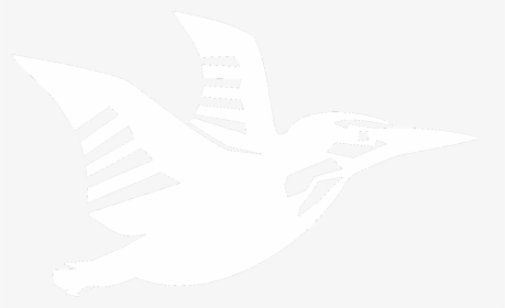 Seabird, HD Png Download, Free Download