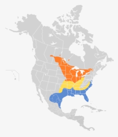 Cistothorus Stellaris Map - American White Pelican Range, HD Png Download, Free Download