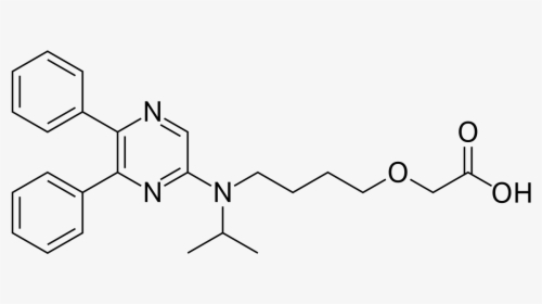 Pyrene Decanoic Acid, HD Png Download, Free Download