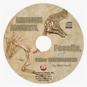 Transparent Fossils Png, Png Download, Free Download