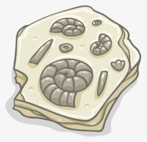 Cartoon Fossil Png, Transparent Png, Free Download