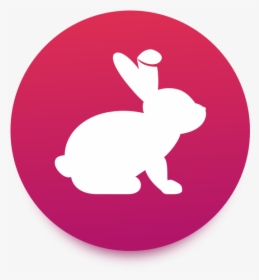 Bunny Token - Bunnytoken, HD Png Download, Free Download