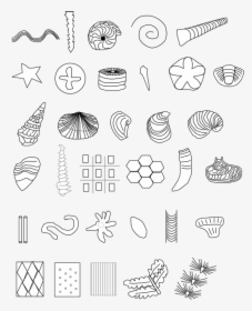 Fossil Symbols, HD Png Download, Free Download