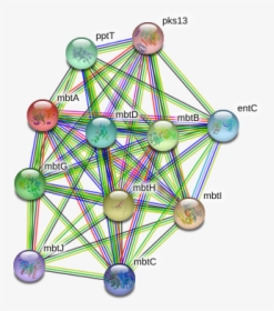 Mbta Protein, HD Png Download, Free Download