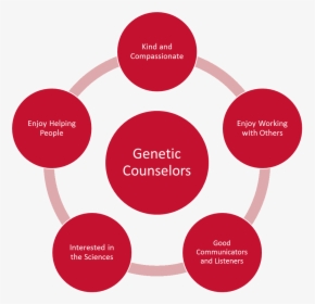 Is A Career In Genetic Counseling Right For You - Different Worldviews, HD Png Download, Free Download