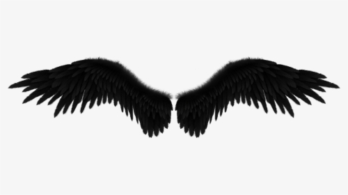 Clip Art The Pretty Tale Sobre - Black Angel Wings Background, HD Png Download, Free Download