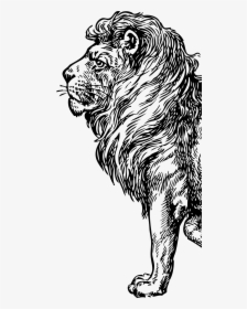 Transparent Golden Lion Png, Png Download, Free Download