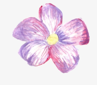 Stickers Flowers Png, Transparent Png, Free Download
