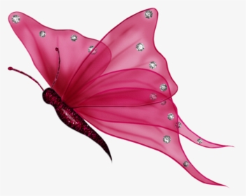 Butterfly Png Download Image - Transparent Background Butterfly Clipart, Png Download, Free Download