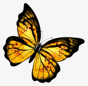 Butterfly Png - Yellow Butterfly Png, Transparent Png, Free Download
