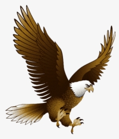 Patriotic Bald Eagle Image Png Clipart - Eagle Png, Transparent Png, Free Download