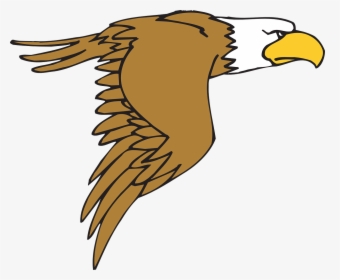 Bald Eagle Cartoon Png, Transparent Png, Free Download