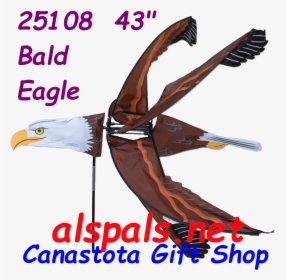 25108 Eagle - Kick Cancers Ass, HD Png Download, Free Download