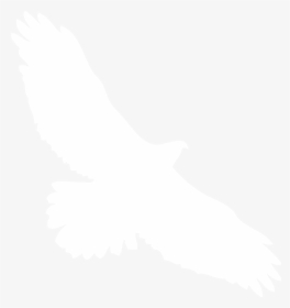 Transparent Hawk Silhouette, HD Png Download, Free Download
