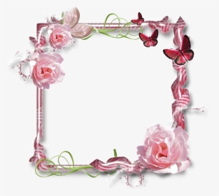 Frame For Scrap Booking Are Taggin - Pink Rose Flower, HD Png Download, Free Download