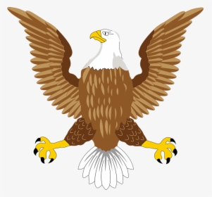 Bald, Eagle, National, Usa, Symbol, Bird, American - Usa Bald Eagle Symbol, HD Png Download, Free Download