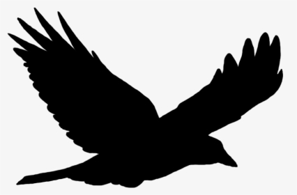 Birds Silhouette Png -bird Silhouette Solo Flying - Flying Bird Silhouette Png, Transparent Png, Free Download