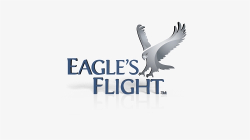 Want To Become An Eagle"s Flight Global Licensee - Red-tailed Hawk, HD Png Download, Free Download