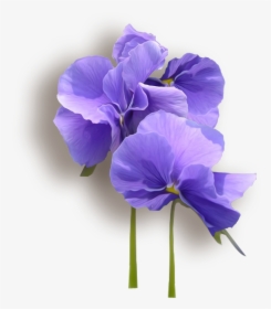 Flower Violet, HD Png Download, Free Download
