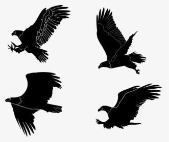 Eagle Silhouette Png Transparent, Png Download, Free Download