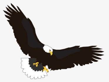 Transparent Eagle Wings Png - Flying Eagle Clipart Svg, Png Download, Free Download