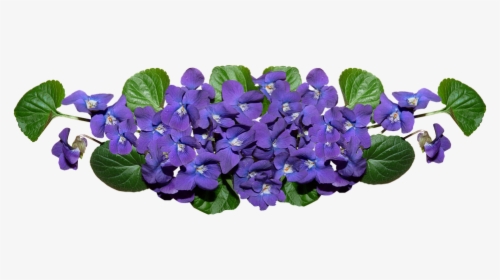 Violets, Flowers, Arrangement, Garden, Perfume - Artificial Flower, HD Png Download, Free Download