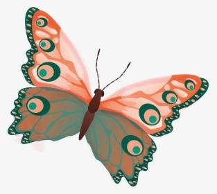 Butterfly Png Image Free Picture Download Pngimgcom - Colour Butterfly, Transparent Png, Free Download