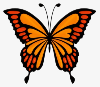 Free Png Orange Butterfly Png Images Transparent - Blue Butterfly Clip Art, Png Download, Free Download