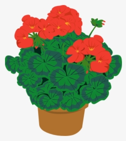 Geranium In Pot Svg Clip Arts - Potted Plants Clipart, HD Png Download, Free Download