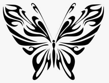 Butterfly Drawing Line Art, HD Png Download, Free Download