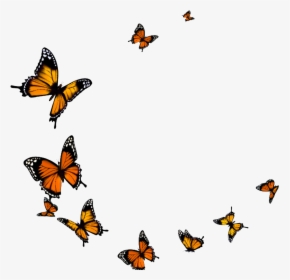 Flying Butterflies Transparent Background, HD Png Download, Free Download