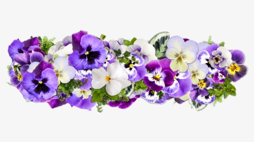 Flower,flowering Plant,wild Family,annual Plant,morning - Purple Flower Line Png, Transparent Png, Free Download