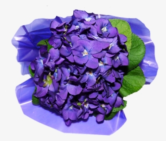 Flowers, Violets, Perfume - Artificial Flower, HD Png Download, Free Download
