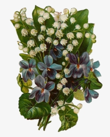 Violets Png, Transparent Png, Free Download