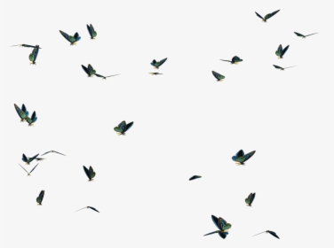Flying Butterfly Transparent Images - Swarm Of Butterflies Png, Png Download, Free Download
