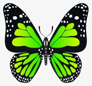 Butterfly Clipart Green Transparent, HD Png Download, Free Download