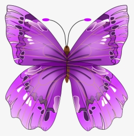 Butterfly Png Image - Purple Butterfly Clipart Png, Transparent Png, Free Download