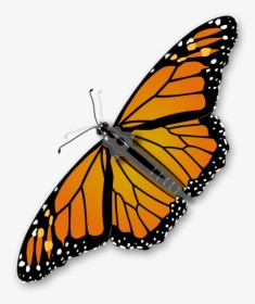 Monarch Butterfly Png Clip Arts - Monarch Butterfly Transparent Background, Png Download, Free Download