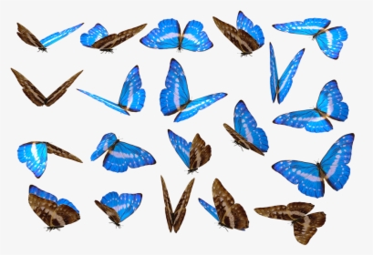 Butterfly, Png, Unique, No Background, Nature, Cut - Png Butterfly Pic Full Hd, Transparent Png, Free Download