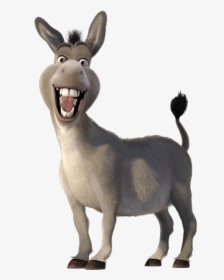 Transparent Donkey From Shrek, HD Png Download, Free Download