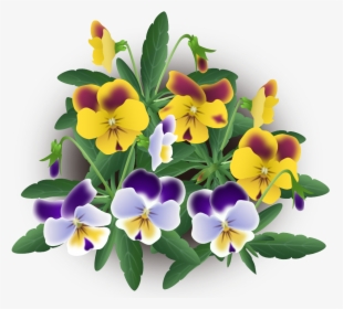 Violas Mix - Pansy, HD Png Download, Free Download