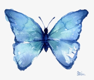 Blue Butterfly Png Free Download - Watercolor Painting Easy Butterfly, Transparent Png, Free Download