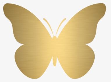 Gold Butterfly Png - Png Clipart Gold Butterfly Png, Transparent Png, Free Download