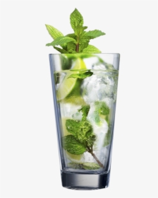 Mojito Drink, HD Png Download, Free Download