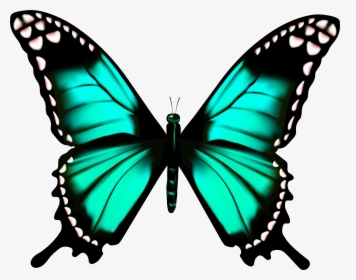 Butterfly Transparent Png Clip Art Imageu200b Gallery - Clip Art Transparent Butterfly, Png Download, Free Download