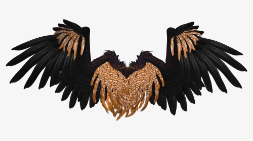 Wings Black And Brown Crow - Black And Gold Angel Wings, HD Png Download, Free Download