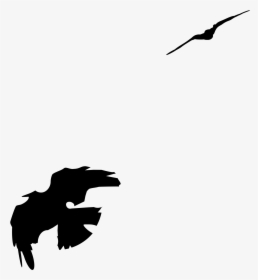 Bird Carrion Crow Clip Art - Flying Crow Line Drawing, HD Png Download, Free Download
