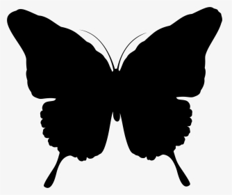 Transparent Butterfly Clip Art Black And White - Butterfly Silhouette Png, Png Download, Free Download