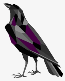 Black Crow Seo - Raven Icon, HD Png Download, Free Download
