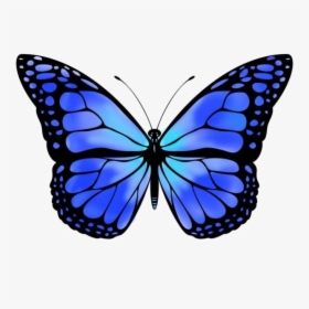 Blue Butterfly Free Png Image - Monarch Butterfly Clipart, Transparent Png, Free Download
